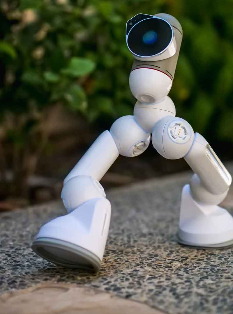 Robotic Robotic